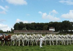 La fête du cheval boulonnais c’est ce week end à Samer ! 