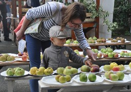 7ième fête de la nature et de la pomme à Nortkerque.