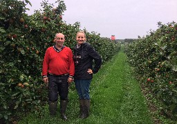 Dégustez les délicieuses pommes du verger de la Beussingue à Peuplingues !