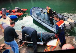 Un phoque gris de près de 300 kilos repêché mort devant Boulogne sur mer.