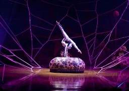 OVO, le spectacle inédit du Cirque du Soleil présenté à Lille