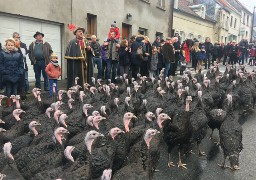 Succès de la fête de la dinde à Licques. 