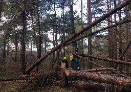 Dannes: des bénévoles néerlandais participent à un chantier nature au Mont Saint Frieux