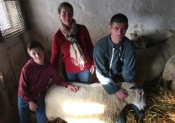 De Quesques, deux béliers boulonnais tentent leur chance au salon de l’agriculture… 