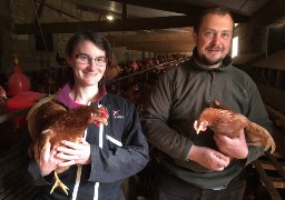 Aidez à la création d’une filière courte de ventes d’œufs bio à la ferme !