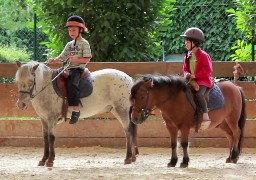 C'est la fête du poney dimanche 