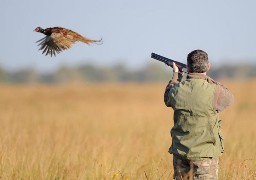 Pas-de-Calais : ouverture de la chasse le 15 septembre prochain