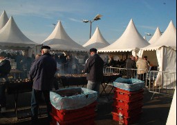 29ième édition de la fête du Hareng Roi à Boulogne sur mer. 