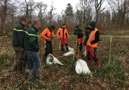 Opération de reforestation en forêt d’Hardelot…