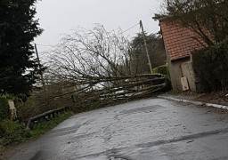 La tempête CIARA se déchaîne 