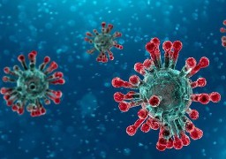 Un cas de coronavirus détecté dans le Nord