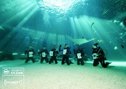 Merci : les plongeurs-soigneurs de Nausicaà le disent aussi !