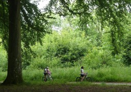 Pas-de-Calais : réouverture des forêts domaniales