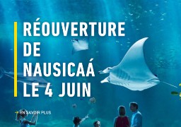 Nausicaà rouvre le 4 juin, réservation obligatoire !