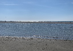 La qualité des eaux de baignade du littoral oscille de bonne à excellente