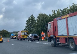 A16 : une automobiliste percute un chevreuil à hauteur de Saint-Inglevert