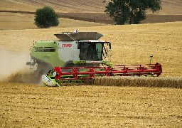 Littoral : après de fortes pluies à l'automne puis un printemps sec, la moisson s'annonce 