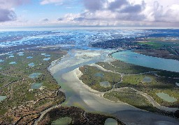 La Baie de Somme devient officiellement un Parc Naturel Régional