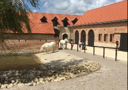 A Samer, la maison du cheval boulonnais entraîne les visiteurs !