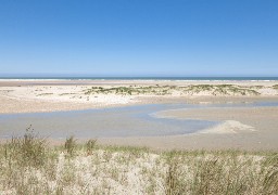 Sorties: participer à un rallye nature au Platier d'Oye