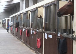 Portes ouvertes dimanche à l’Ecole d’Equitation du Boulonnais.