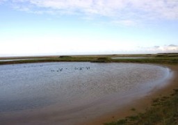 Ouverture de la chasse ce dimanche dans le Pas-de-Calais, le Nord et la Somme