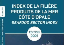 Boulogne : un guide des professionnels de la filière produit de la mer sort aujourd'hui