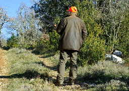 Prolongation de la chasse au petit gibier dans le Pas-de-Calais