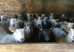 La Région des Hauts de France fait son propre salon de l'agriculture virtuel !