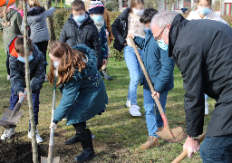 Plantation d'arbres, installation d'un rucher, Wimereux voir la vie en vert. 