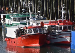 La pêche électrique interdite, les pêcheurs des Hauts de France exultent !