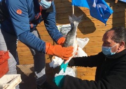 A Boulogne, les pêcheurs sont satisfaits de leur action mais rien n'est réglé !