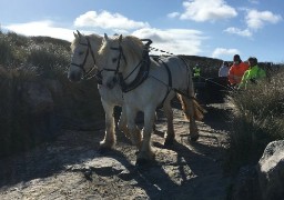 Un nettoyage des plages financé par le ministère de la justice durant 3 jours.