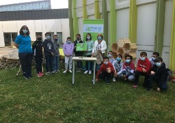 A Samer, les insectes trouvent refuge au collège Le Trion !