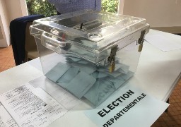 Elections départementales : le RN se maintient dans de nombreux cantons.