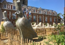 L'été aussi pour les jeunes à Boulogne sur mer !