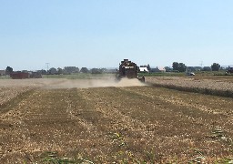 La météo retarde les moissons et impacte les quantités récoltées