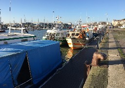 Licences de pêche : les pêcheurs vont bloquer ce vendredi le Tunnel sous la Manche et le port de Calais.