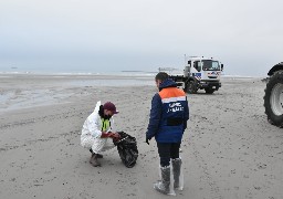 Pollution : après le Portel et Equihen du mazout retrouvé sur la plage de Boulogne