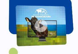 Salon de l'agriculture : une vitrine interactive pour Les Hauts de France.