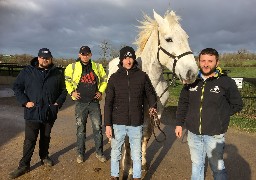 Salon International de l'Agriculture : la maison du cheval boulonnais à Samer compte sur ses éleveurs.