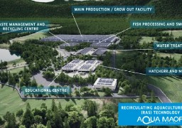 Il n'y aura pas de ferme aquacole dans le boulonnais