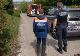 Un chien mord gravement 2 personnes à Saint-Martin-Boulogne.