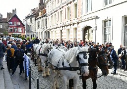 300 chevaux, 900 participants, la Route du Poisson s'élance de Boulogne ce samedi.