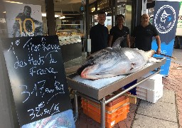 Un thon rouge de 317kg fait le bonheur d'un poissonnier dunkerquois !