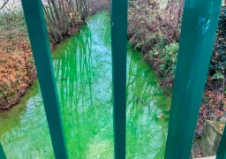 Boulonnais : pollution dans le Wimereux