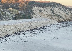 2ème édition de l’opération « Un sapin pour ma Dune » à Wissant