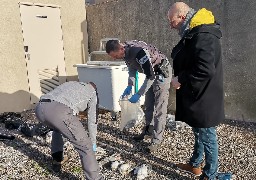 Boulogne: de nouveaux cadavres d'oiseaux morts de la grippe aviaire ont été découverts