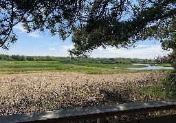 Escapades : direction le Parc du Marquenterre pour une bouffée de nature