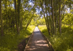 Les Escapades : cheminez sur le sentier des tritons à Ardres